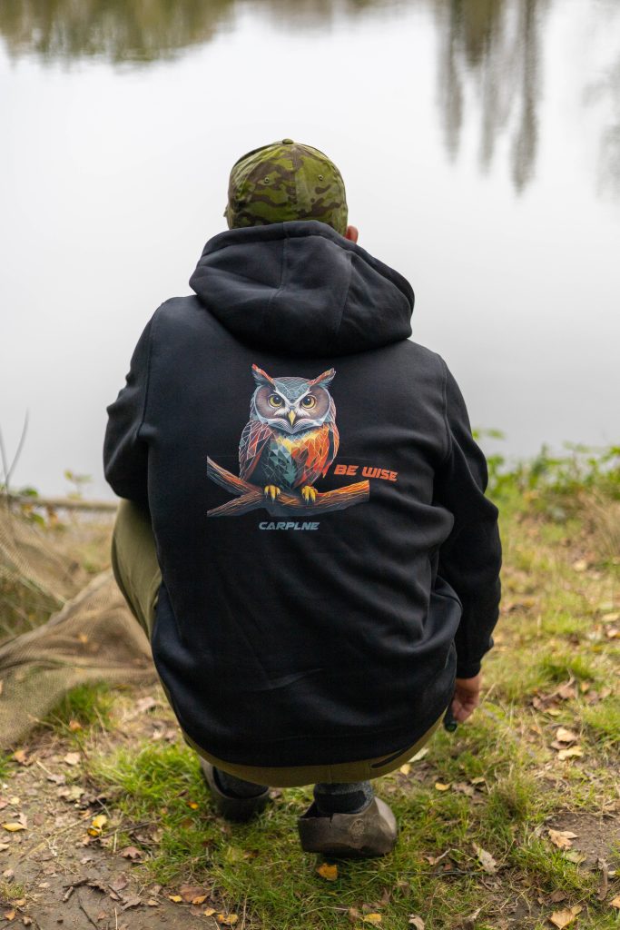 Be Wise hoodie carplne